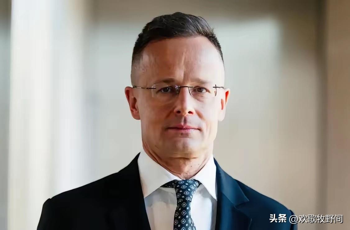 匈牙利前外长入职比亚迪！
匈牙利前外长，彼得·西亚尔多15日在Facebook公
