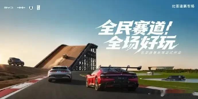 见识过会造车的，没想到还会有人会整活的。这次比亚迪真是赢麻了，不是造了多少车，也