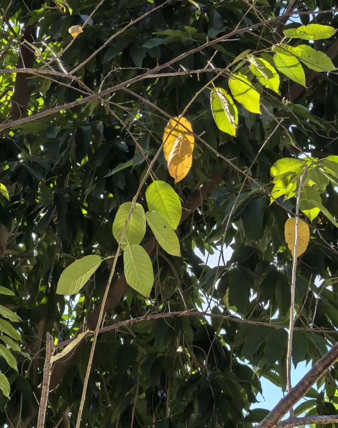 这世上最容易被误读的好意，从来都不是什么摆上台面的矛盾，都是关起门来揣着明白装糊