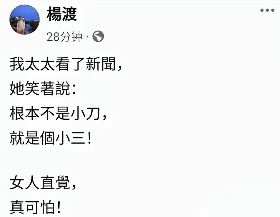 老马的好友杨度总是一语惊人！暗示金是小三，笑死了，真正的宫斗剧呀！