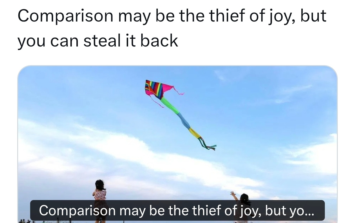 “Comparison is the thief of joy.”（比较，是偷走
