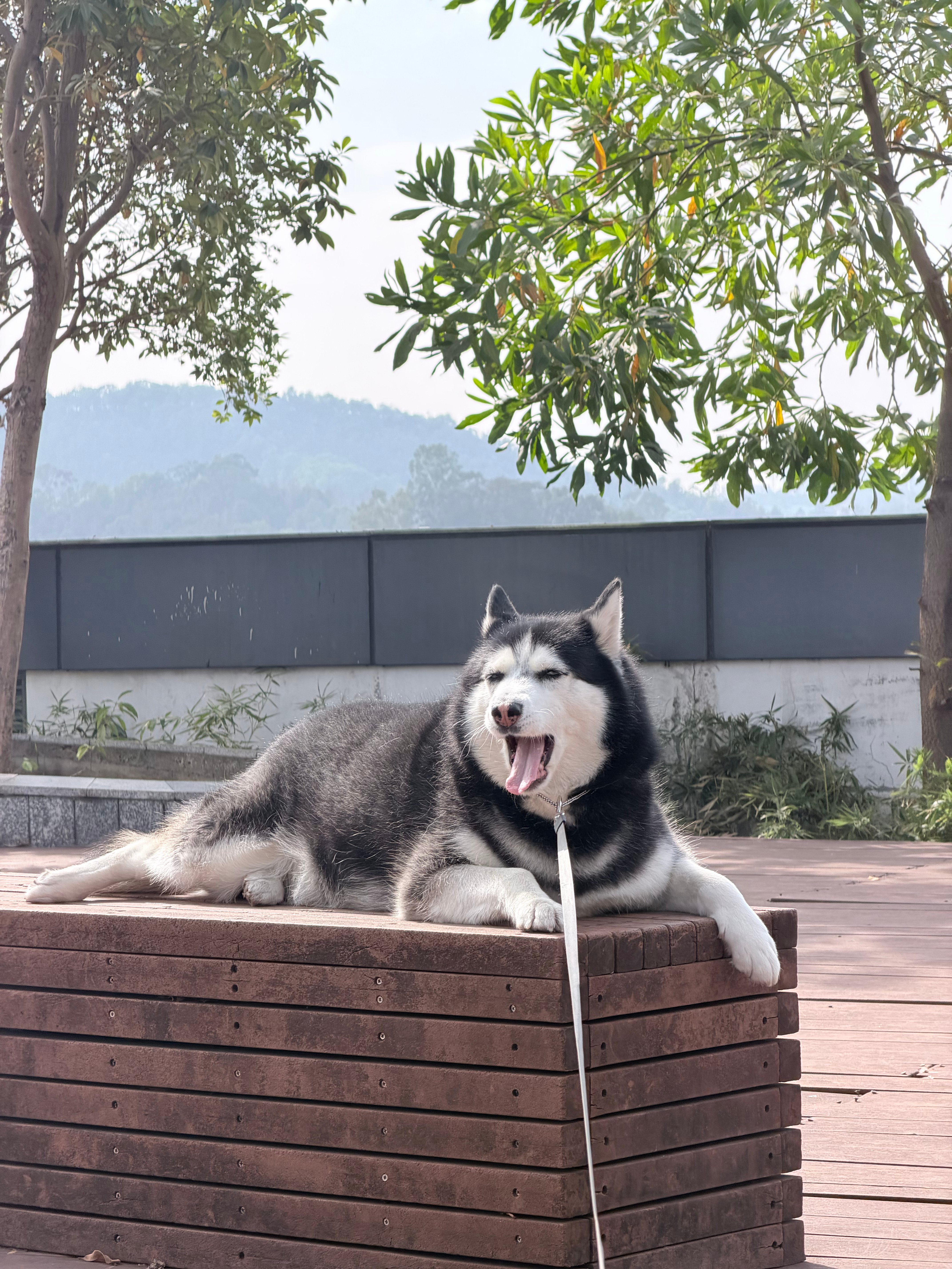 必须坐在这个位置☀️ 