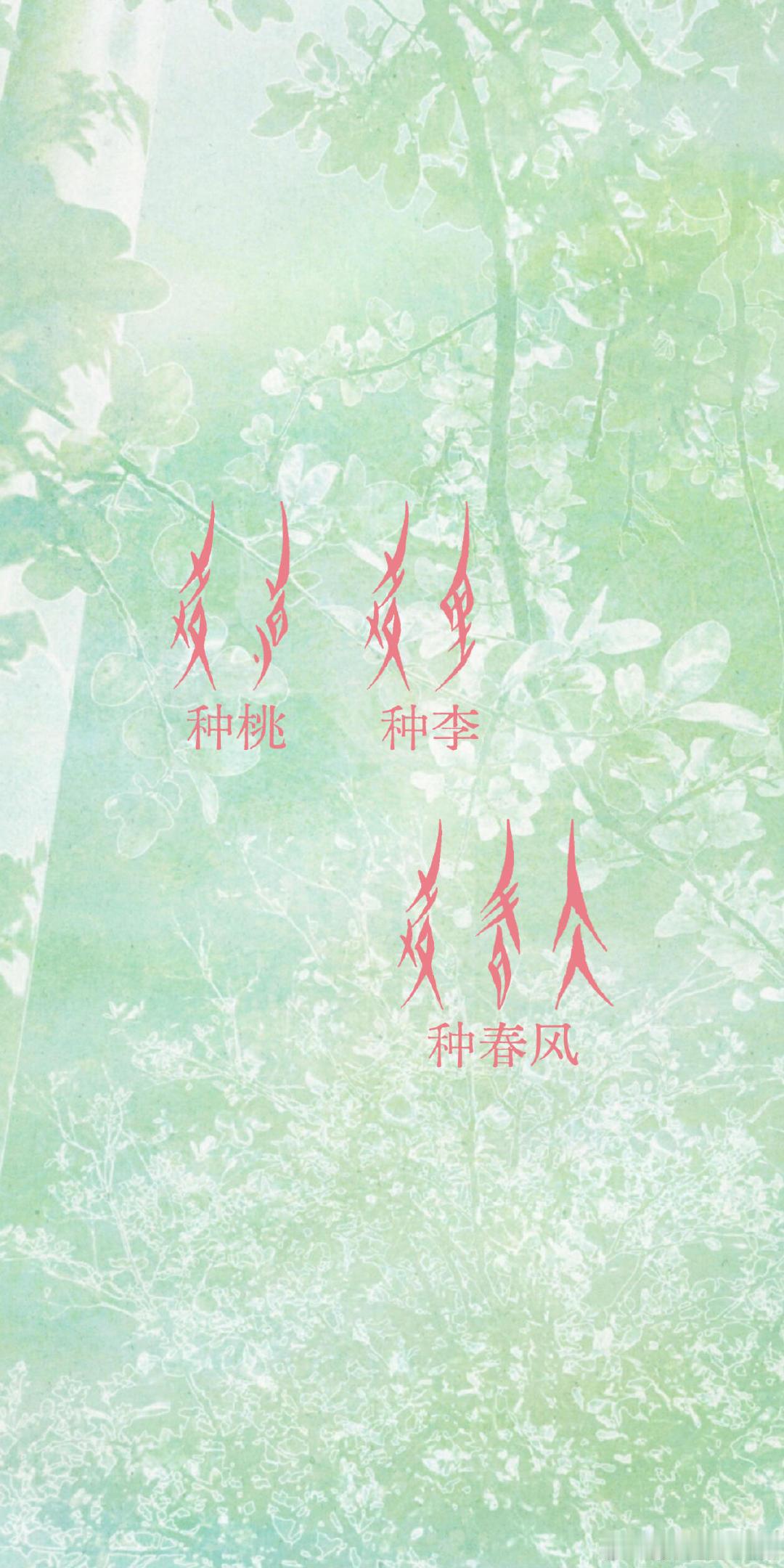 文淇文淇发了女书文淇发了女书文字 文淇发了女书好感动，特别好的小老淇 