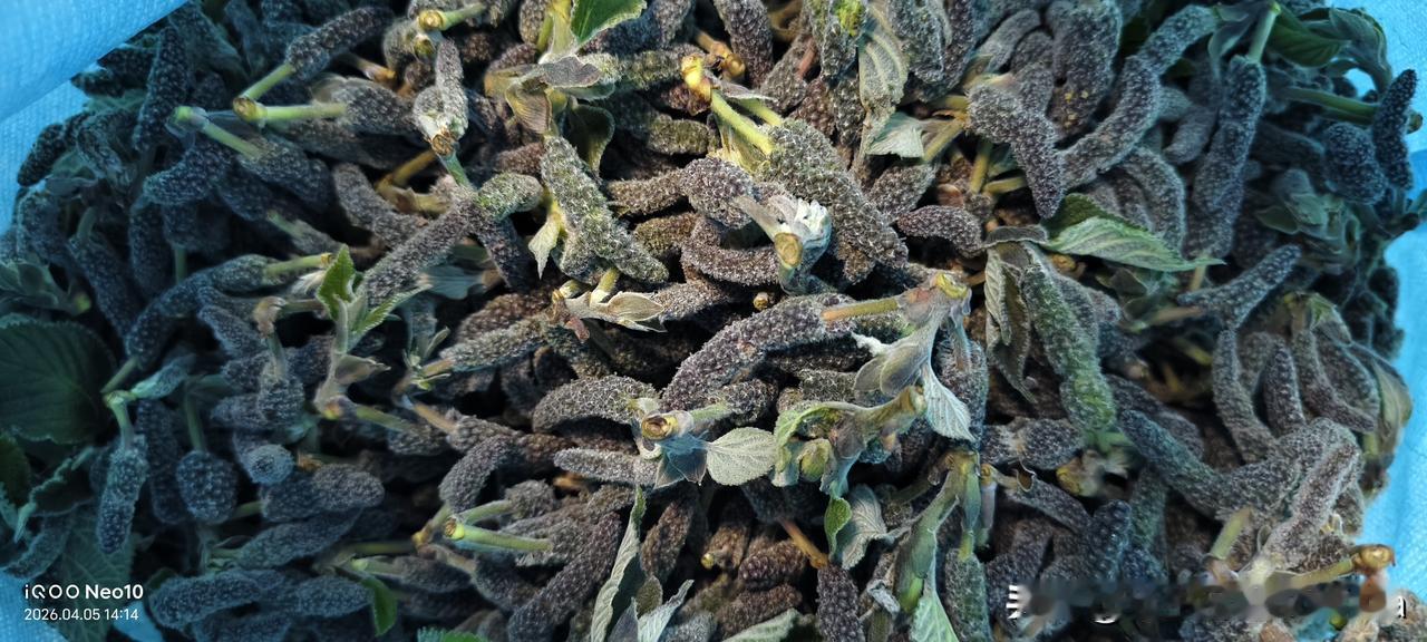 谁会想到，昨天隔壁护工房间的女病人，趁她午睡的时间，自己偷偷坐车跑回家了。
问她