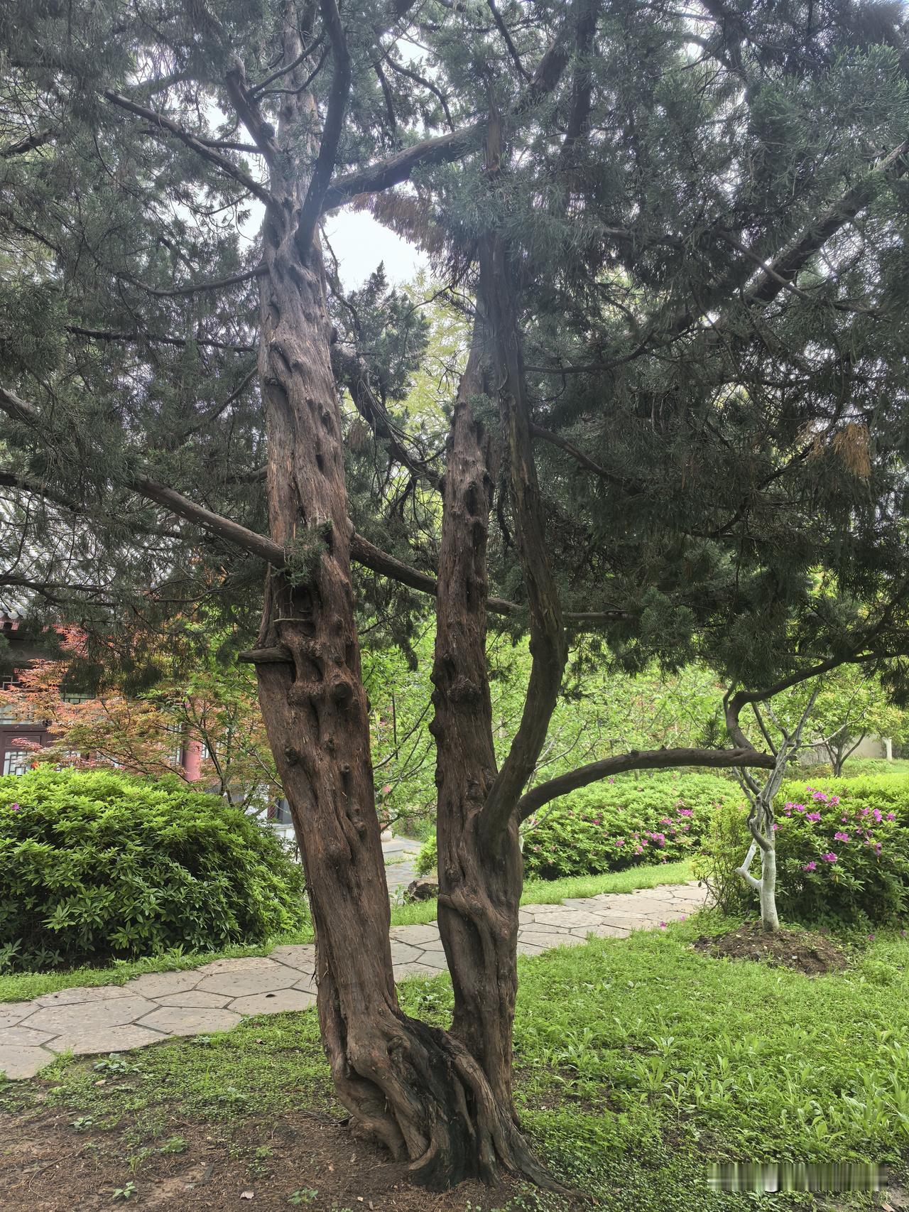 说人生只有三件事。自己的事，别人的事，上天的事。

我自己的事处理的都挺好的。该