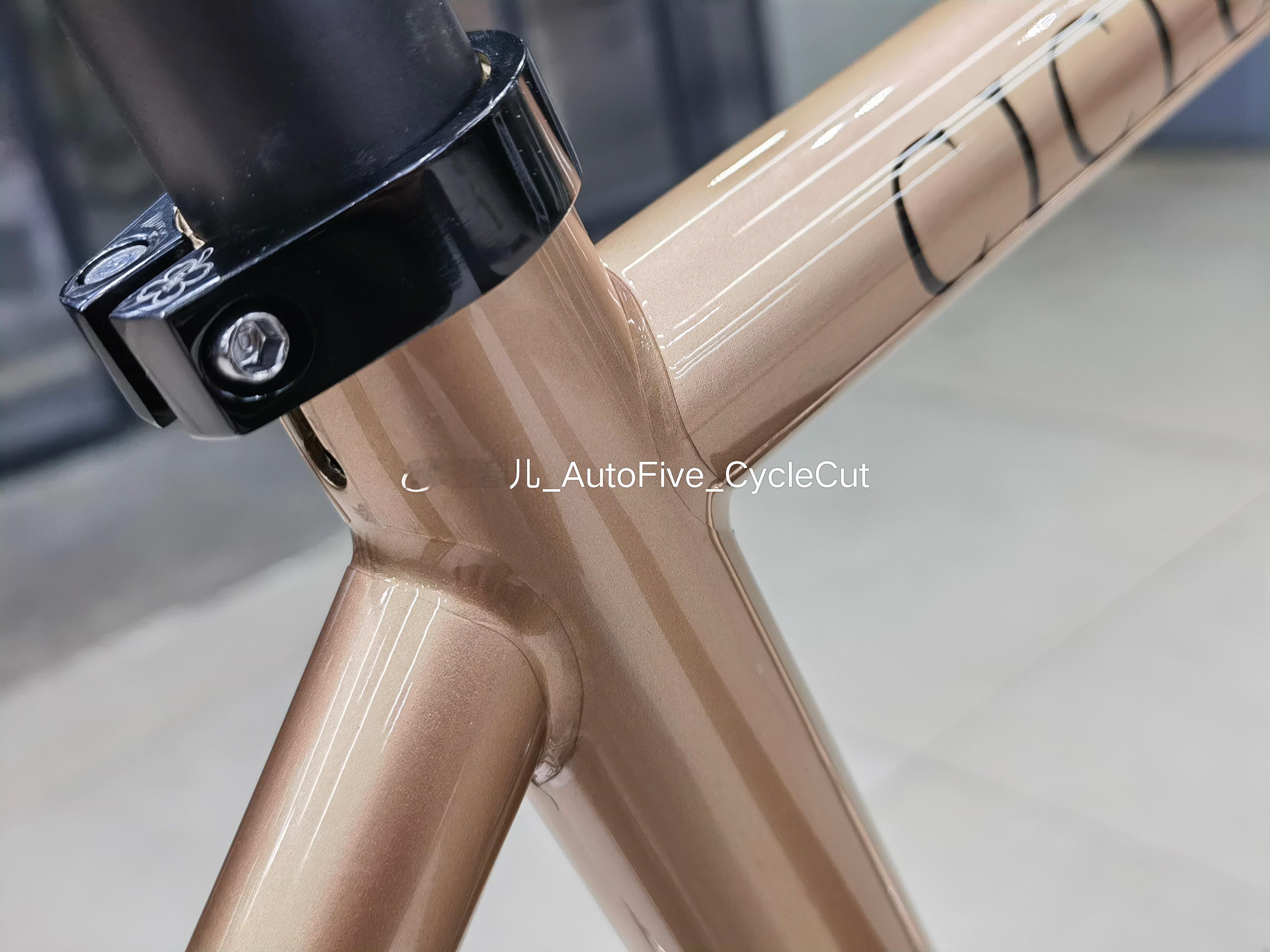 1039主持人的坐骑长什么样？全球唯一、特别定制涂装款——而意·CICLORE 