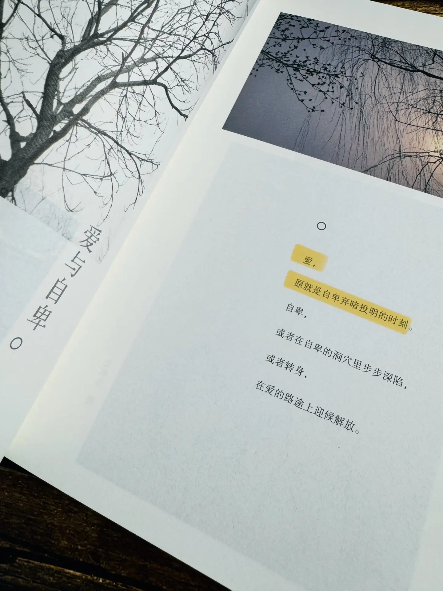 永远被史铁生的文字所震撼！如果你觉得生活太苦，一定要读史铁生！《病隙碎...