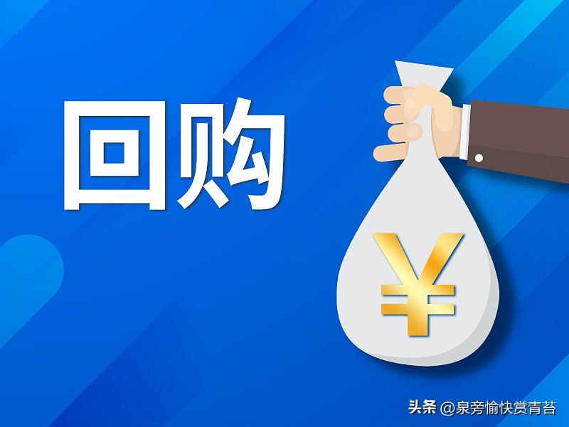 大跌当晚1360亿回购潮来袭：不是凑数护盘，实控人真金白银要把股票注销了
 
1