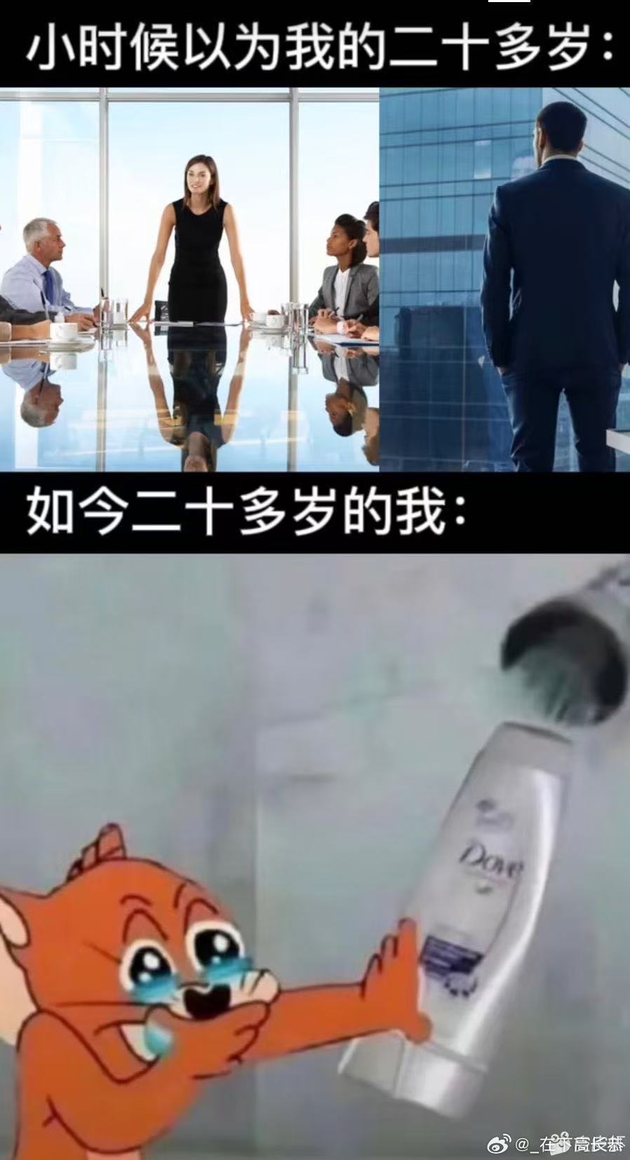 分享图片 ​​​
