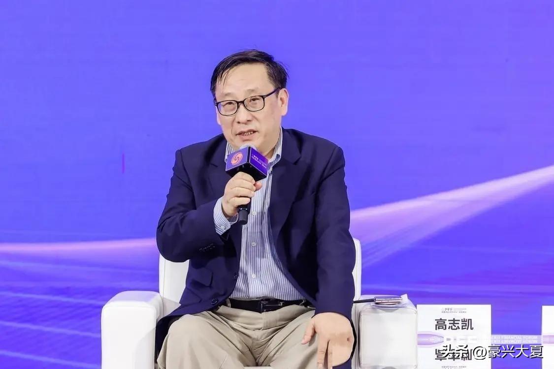 直击要害！高志凯一句话扒掉南海仲裁十年遮羞布。
 
7月15日，高志凯在《两岸圆