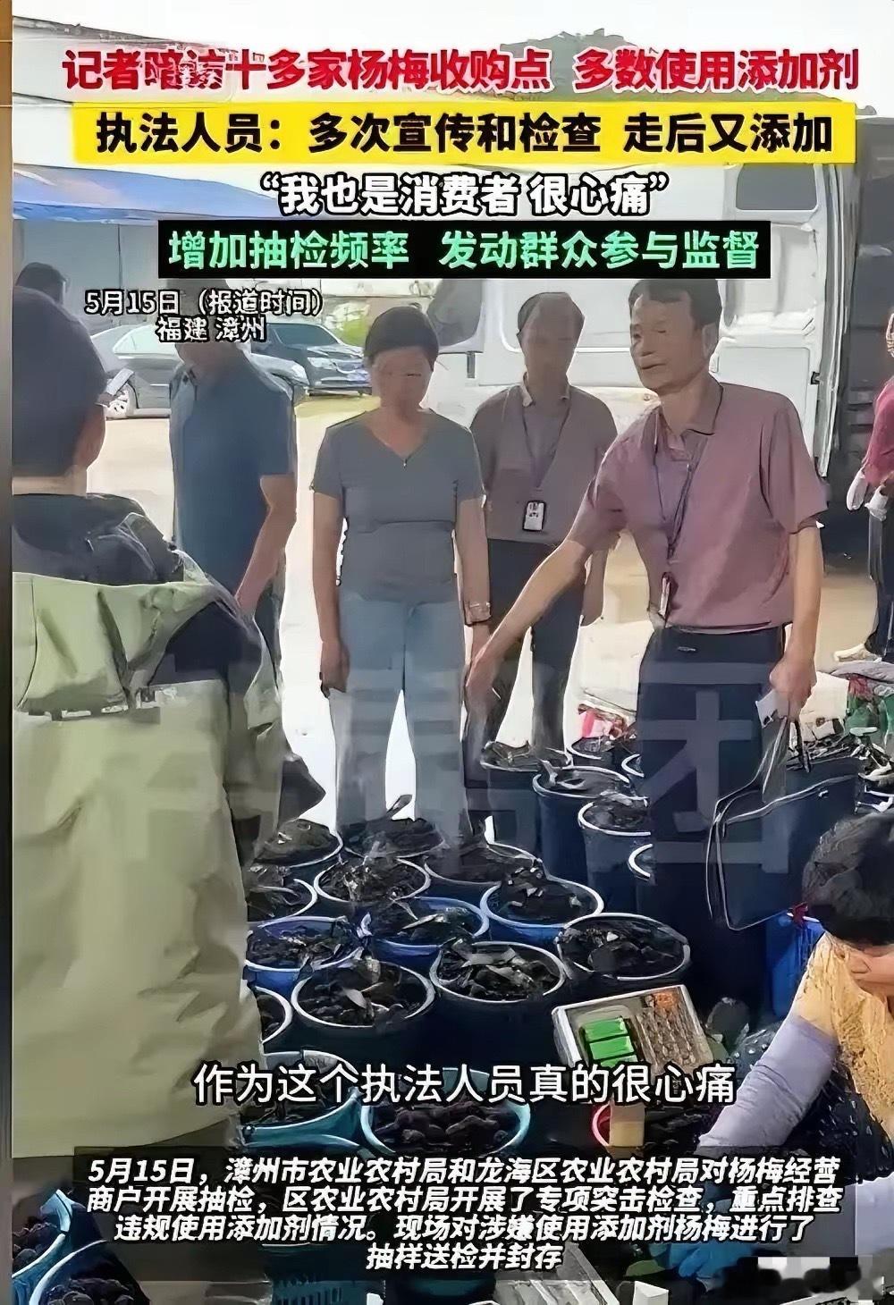 福建漳州一对母女直播卖杨梅，被骂到一句话都说不出来福建漳州浮宫镇的山上还黑着，一