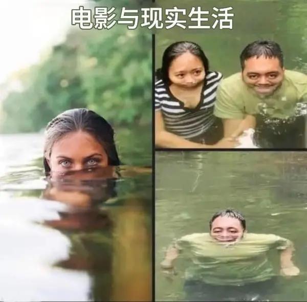 刘晓庆刘嘉玲锐评TF三代