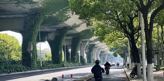 上海，就晴了一天