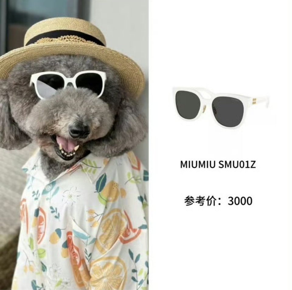 两年前，皮总带着miu在三亚玩。 