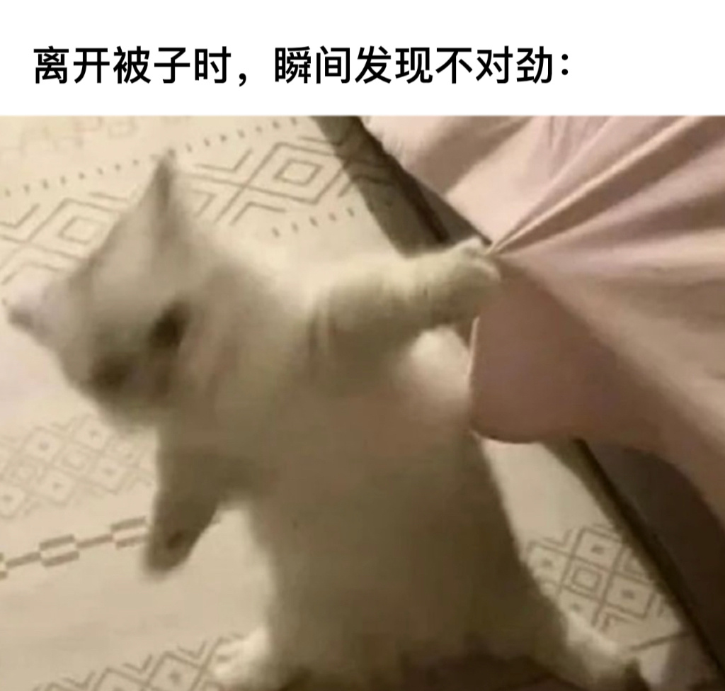 太冷了这几天…#今日memes# //#新年快乐漫游指南# //#转发接龙开新年