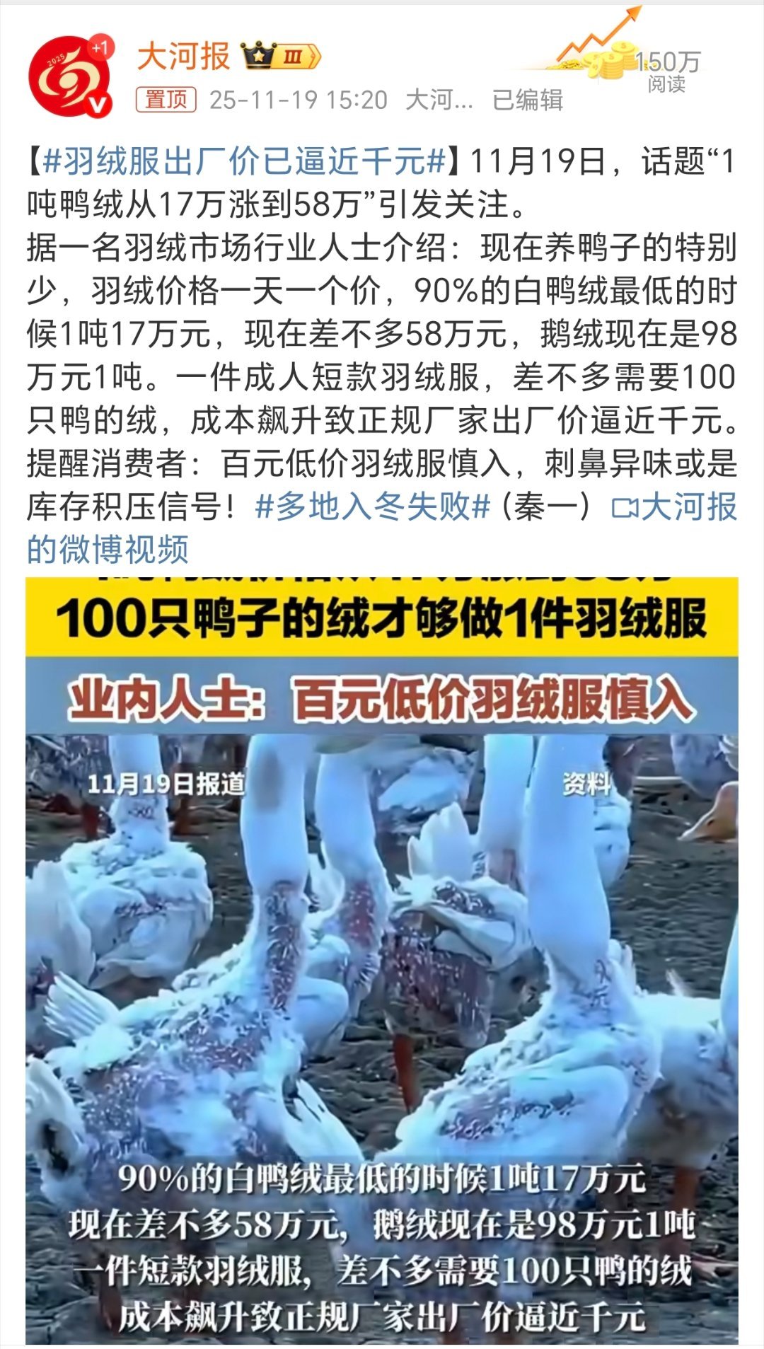 这这……普通人还穿得起羽绒服吗？家人们，赶脚致富新门路要来了～回家养鸭麦鸭绒