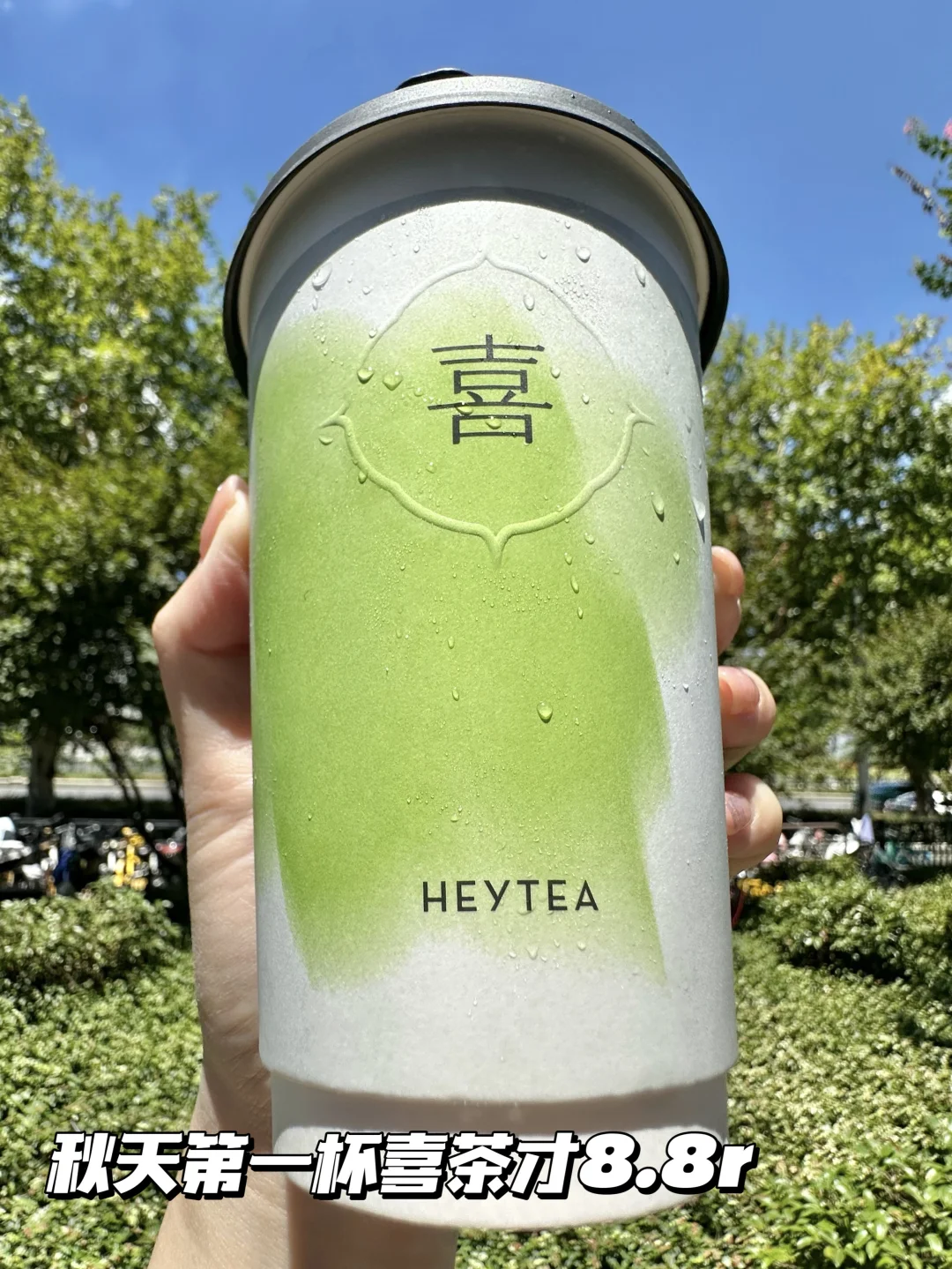 8.8r全款拿下‼️秋天第一杯奶茶‼️