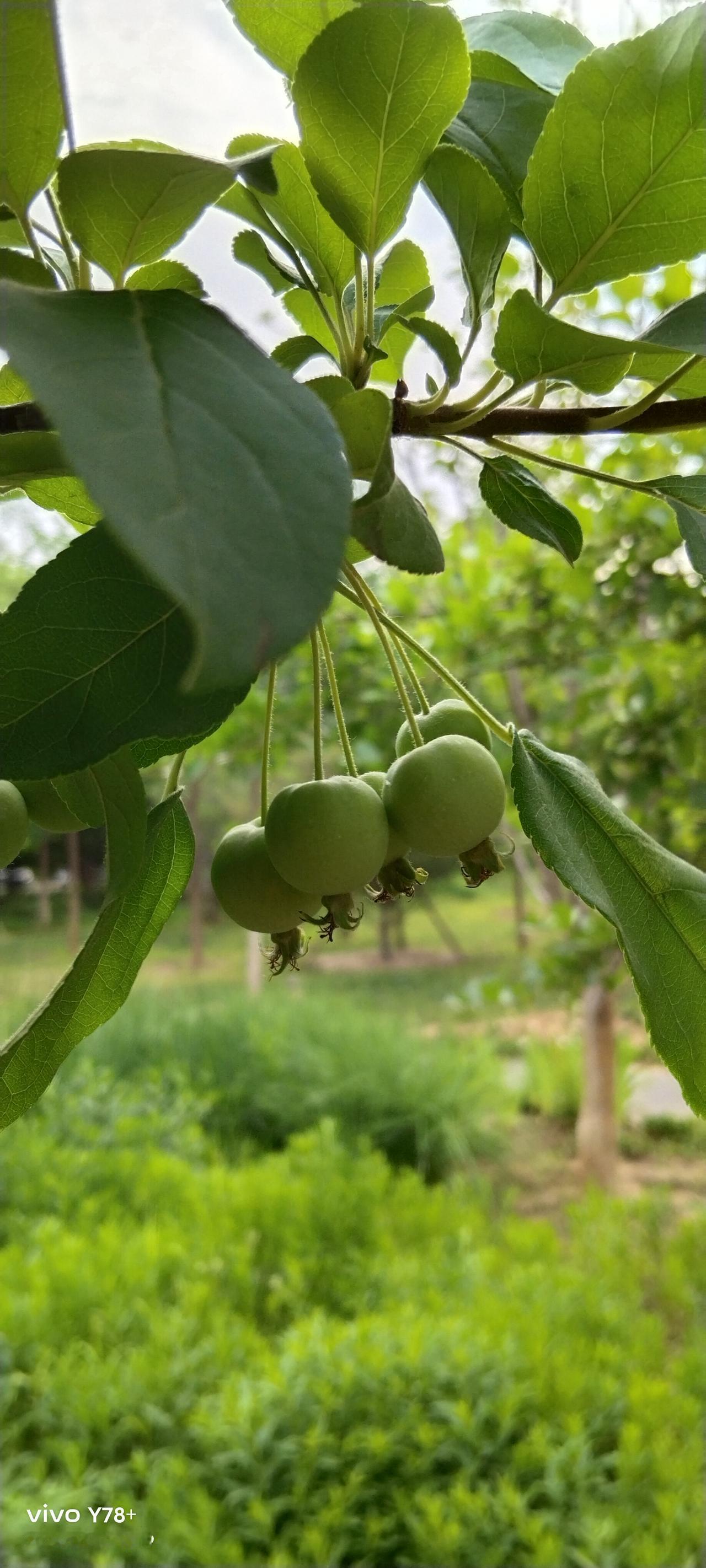 浙金爆雷了，这不是第一个，也不会是最后一个。
不断出现的爆雷，作为普通大众的我们