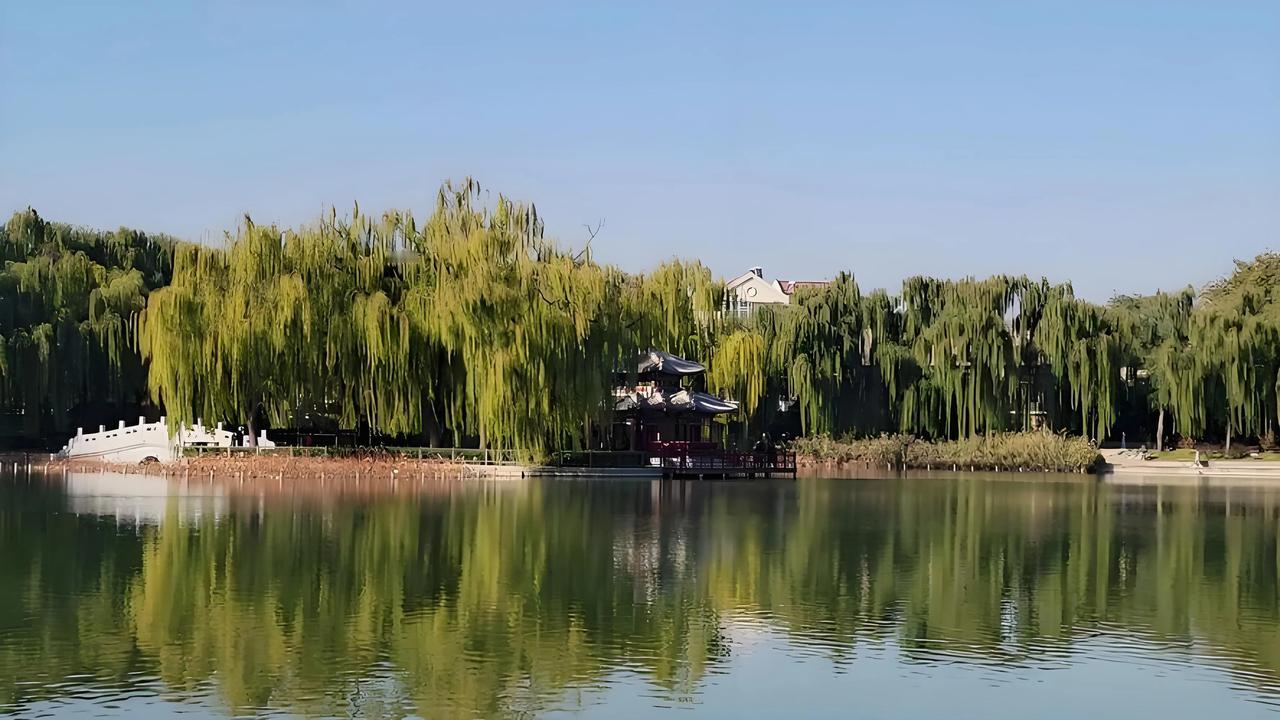 #秋日旅行# 
湖畔垂柳拂水面，
亭台楼阁映碧波。
#湖畔绿树迎风舞#
