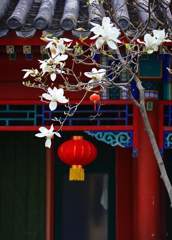 《告白书》

这人间，指缝太宽，时光太瘦，
唯独面对你时，
所有的盔甲都碎成温柔