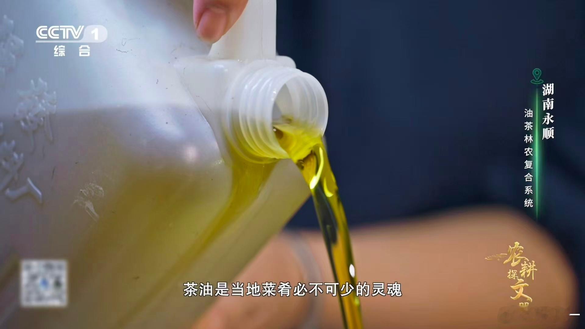 油茶榨干成了洗头神器油茶果然不一般，能在全国众多产区里脱颖而出，靠的就是实打实的