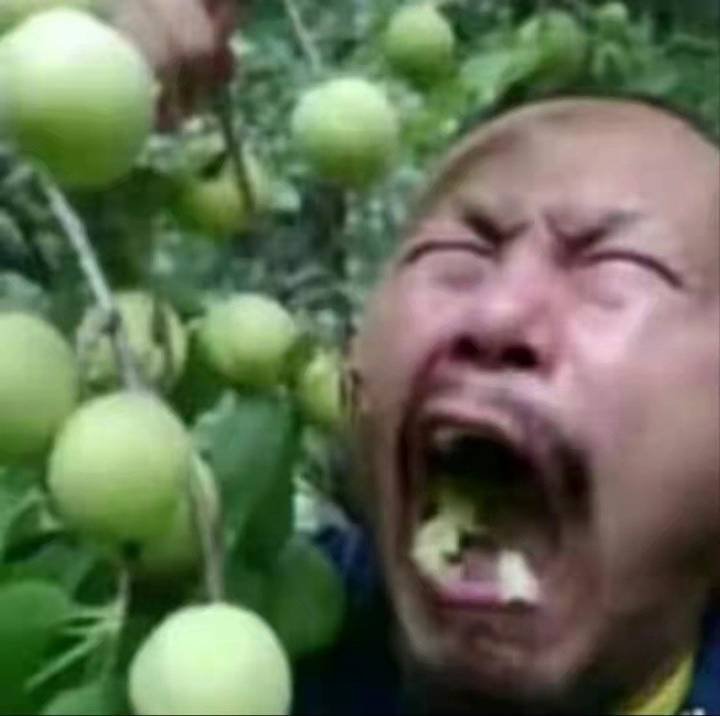 山航你把我颠吐了。 