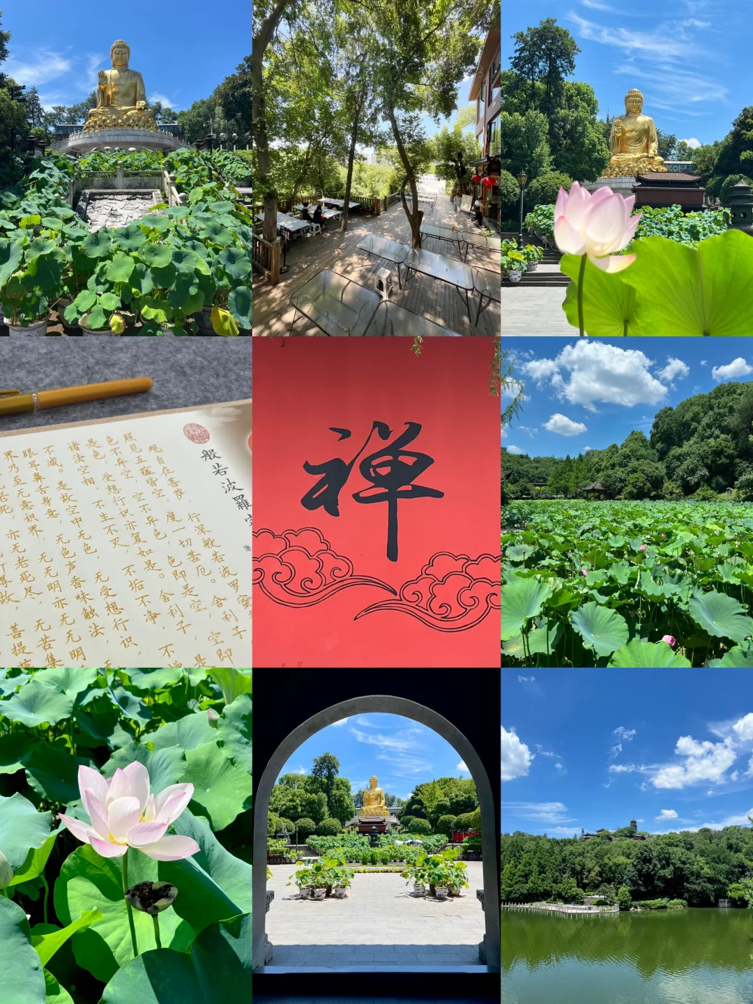 重庆华岩寺｜抄经、喝茶、吃斋、赏荷🪷附攻略…
