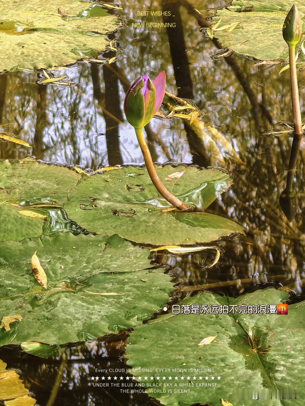 瑟瑟发抖的北医三院🙈
可惜一切只是白日梦🙈
再也不敢提起一百万[我想静静]
