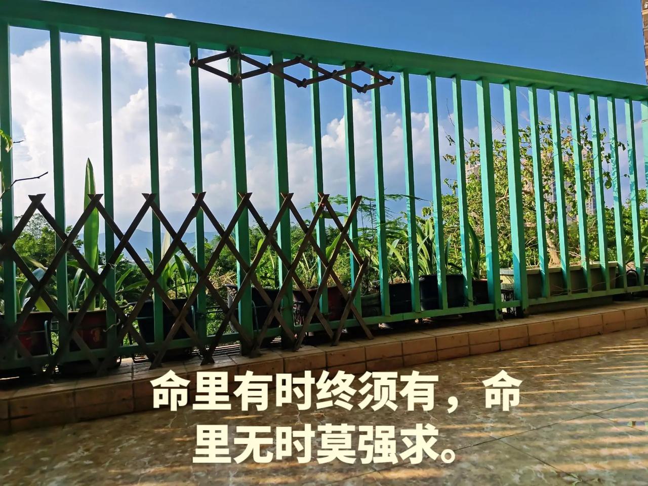 阳台
