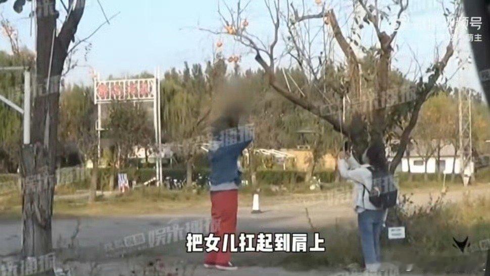 #王传君为女儿交罚款摘柿子#我觉得还好啊，女儿想要交了罚款，又让孩子得到了乐趣，