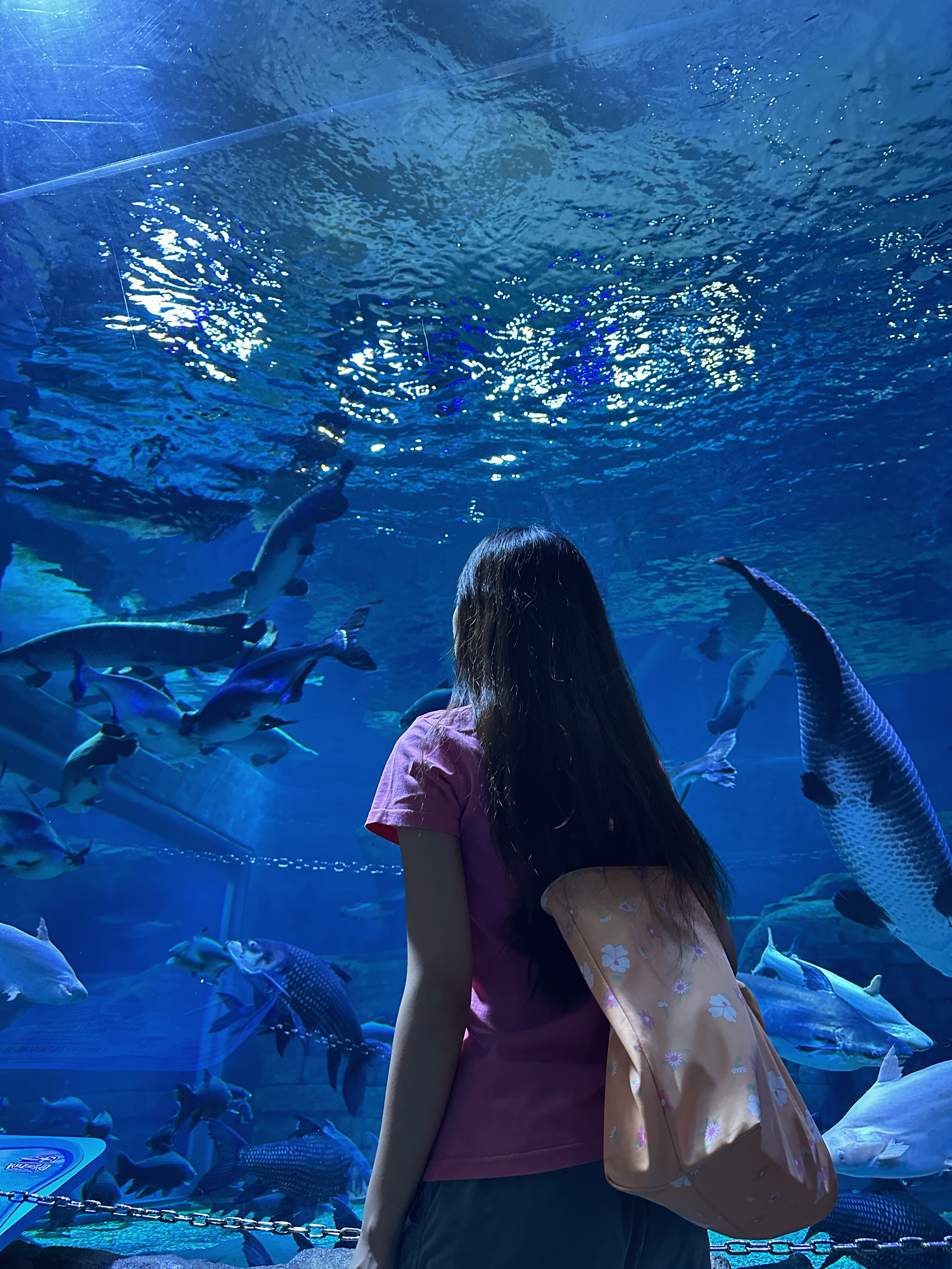 🧜♀️我回家了 