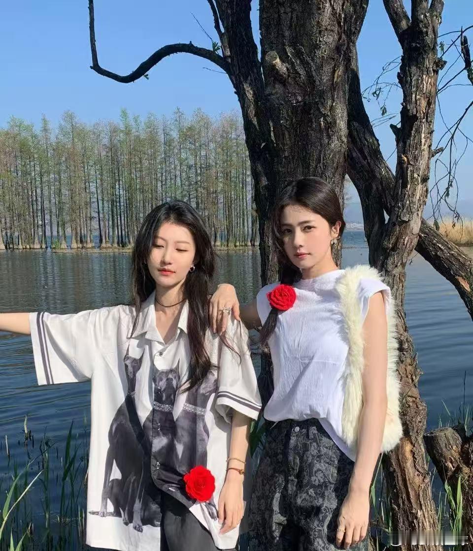 张鑫回应白鹿争议张鑫直播回应白鹿争议！张鑫直播回应白鹿争议