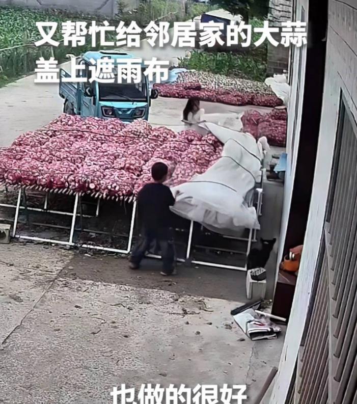 人民日报报道了！

全网刷屏！徐州一对姐弟立大功，稚嫩肩膀扛起全家一年生计，无数