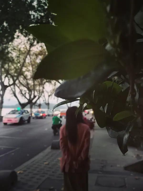 这事儿听起来跟电影情节似的！杭州一女子取12万现金进山林，还悄悄塞路边树丛。估计