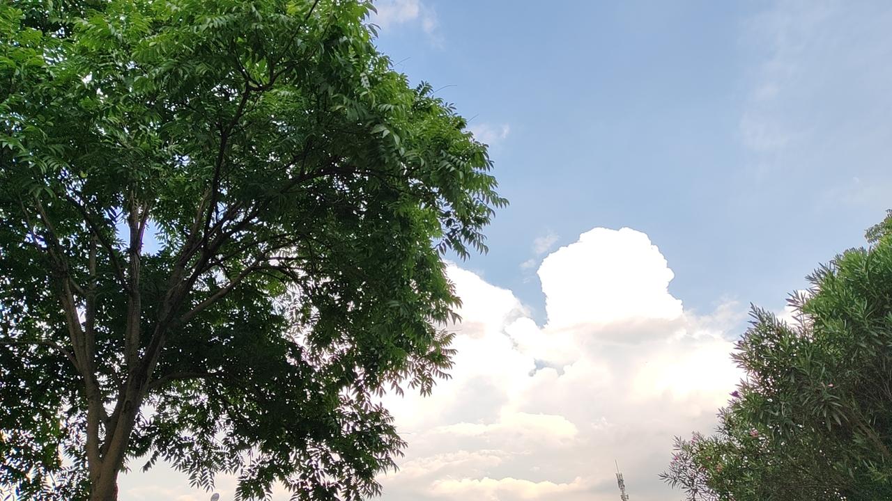 急了一辈子，赶的都不是自己的路。不再把日子煮沸，让水自己温，让茶叶自己沉，让香气