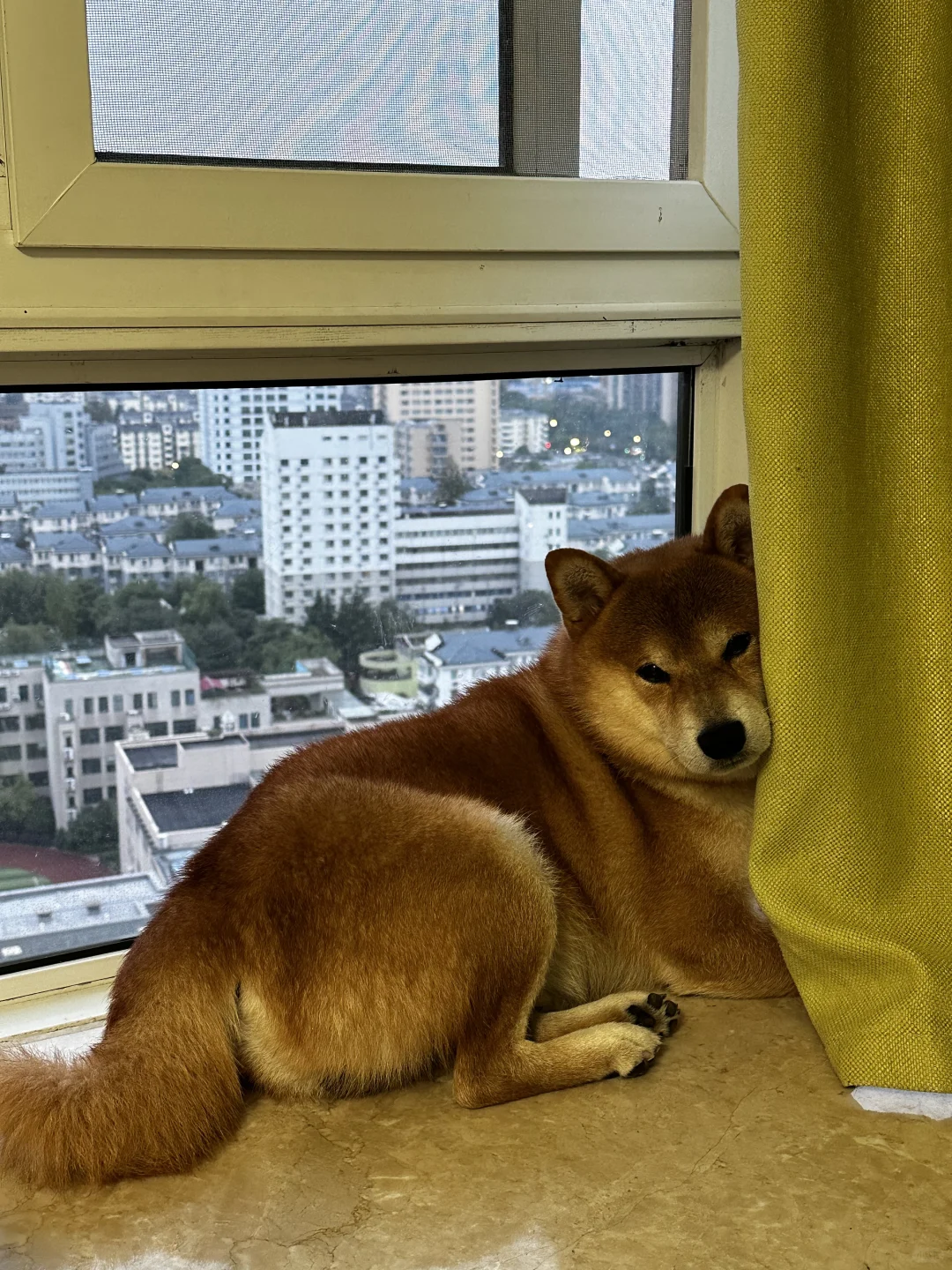 死出