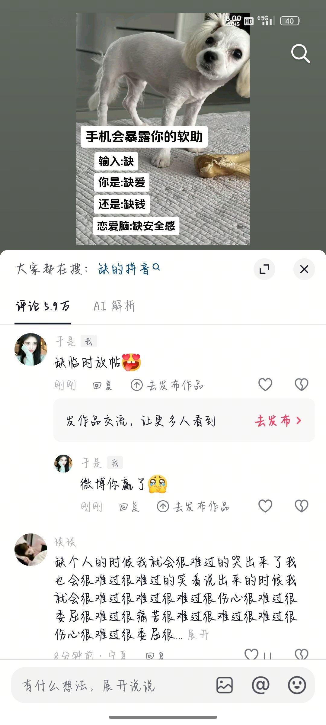 你赢了 