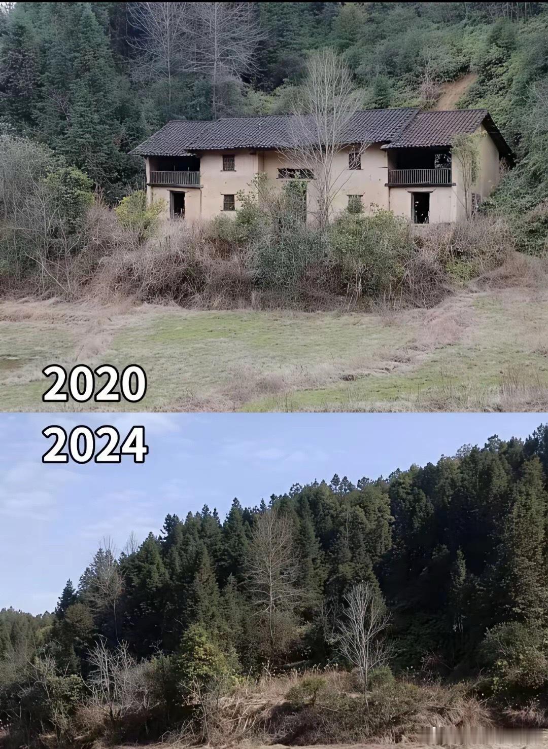 我们父辈竭尽全力盖的房子最后人去楼空荒草一堆……那么我们背了一辈子房贷买的房子最