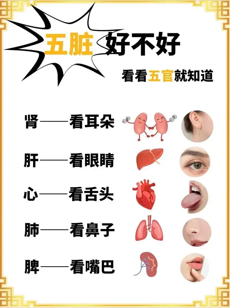 五脏有火走五官，你是否感到身体不适却找不出原因？今天就来分享13个中成药，帮你祛