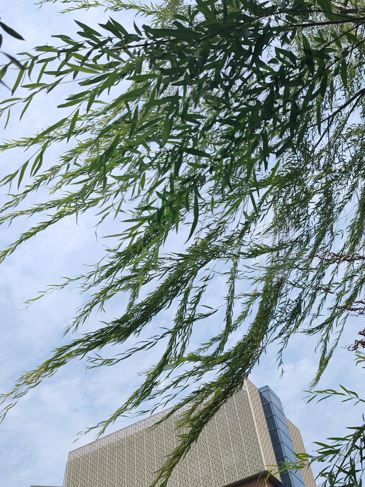 你能对出“风来风去风无影”下联吗雨下雨停雨有兆