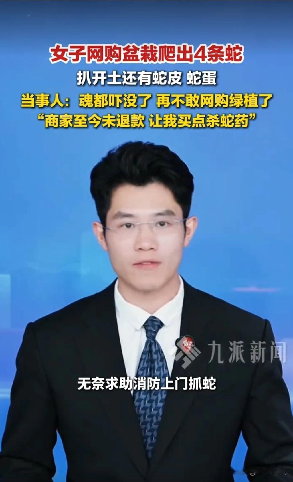 北京通州，女子网购一盆59.8元绿植，她摆在吧台半个月，没想到先后爬出4条蛇，吓