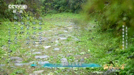 古道西风瘦马原来真的存在 与千年前的马蹄声共鸣！走在京西古道上，看着石间深浅不一