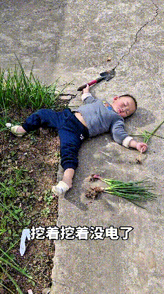 哎呀妈呀！这小娃子也太招人稀罕了！下午说啥也不睡觉，跟个小炮弹似的，非要跟着奶奶