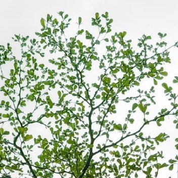 每日一善 阳光信用每日一善 生活，需要一点阳光，生命，需要一些勇敢，纠结过去，不