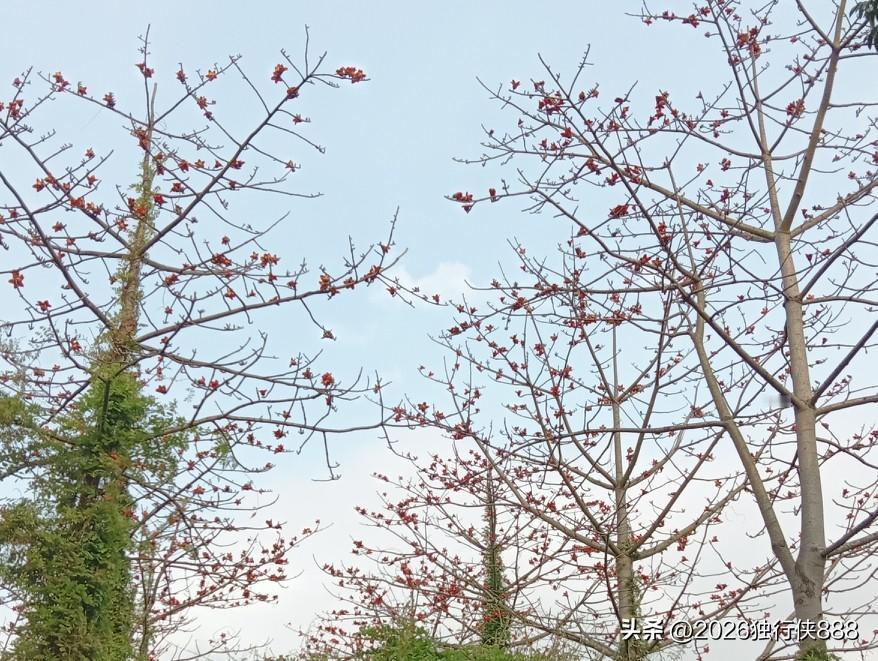 一位品学兼优，读重点高中的女孩就这样休学了。现在孩子的心理健康真的很重要！

上