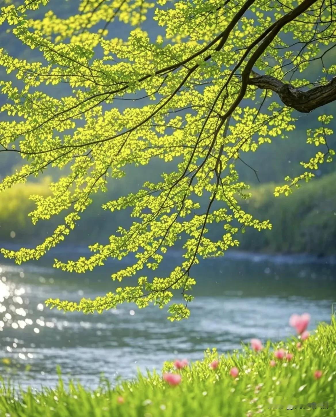 《虞美人·情存康健》
 
声声问候随身晓，
快乐今朝从此肇。
殷勤致意最情真，