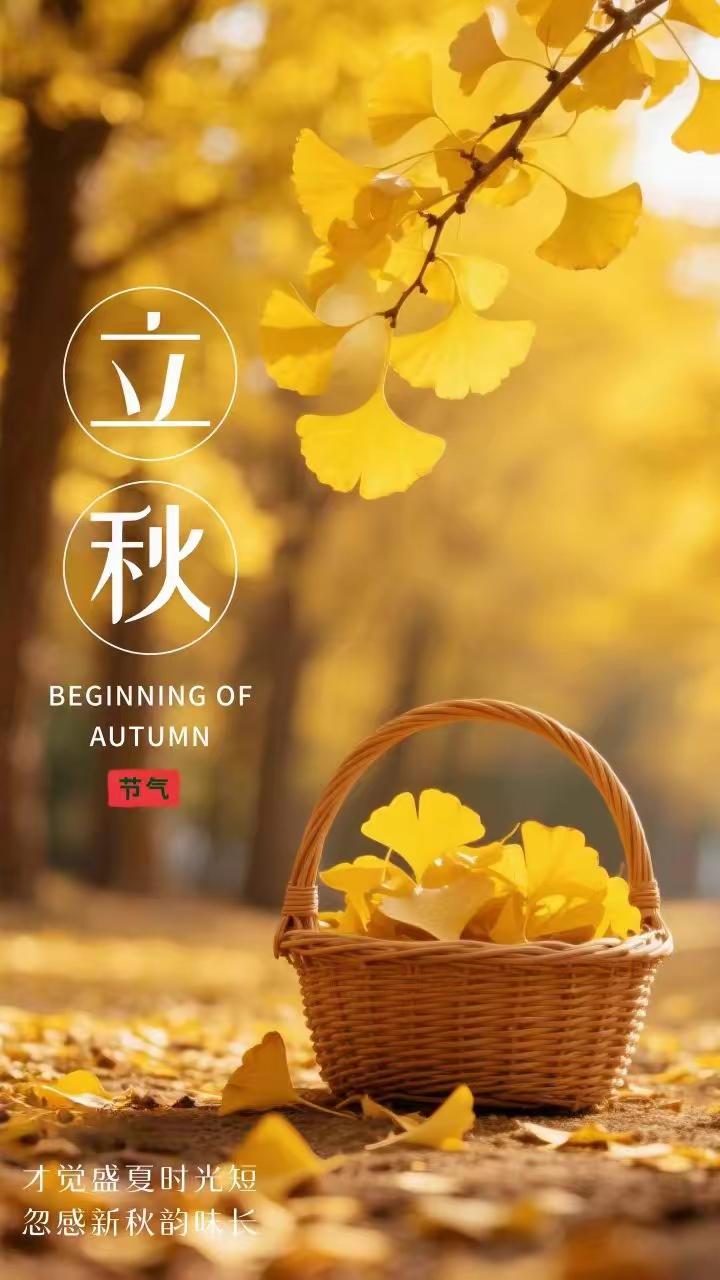今日立秋，如果你没有收到秋天的第一杯奶茶，那就收下我的祝福！
1. 一叶落知天下