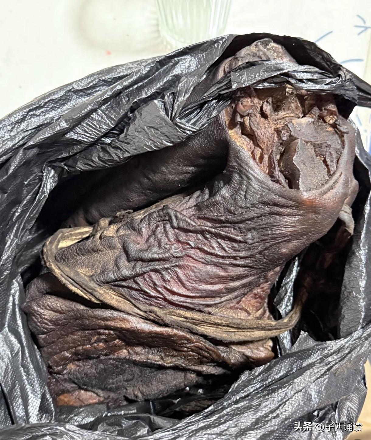 我去，有人看出这是什么东东了吗？真是吓死个人！