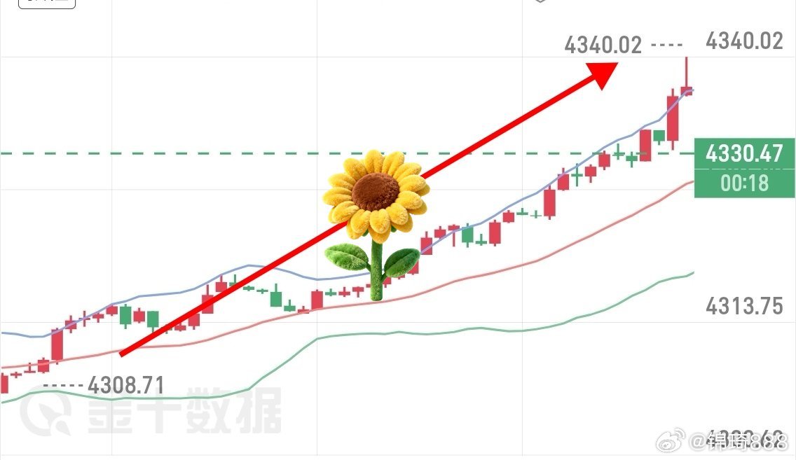 黄金4309位置哆，4317出，随后顺势追哆，4316进，4331出，两丹洛带2