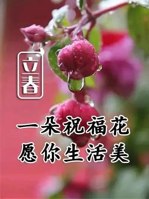 春天来了！
春来乐去又一年，
万物复苏换新颜。
聊绿桃红映碧水，
莺歌燕舞闹林间